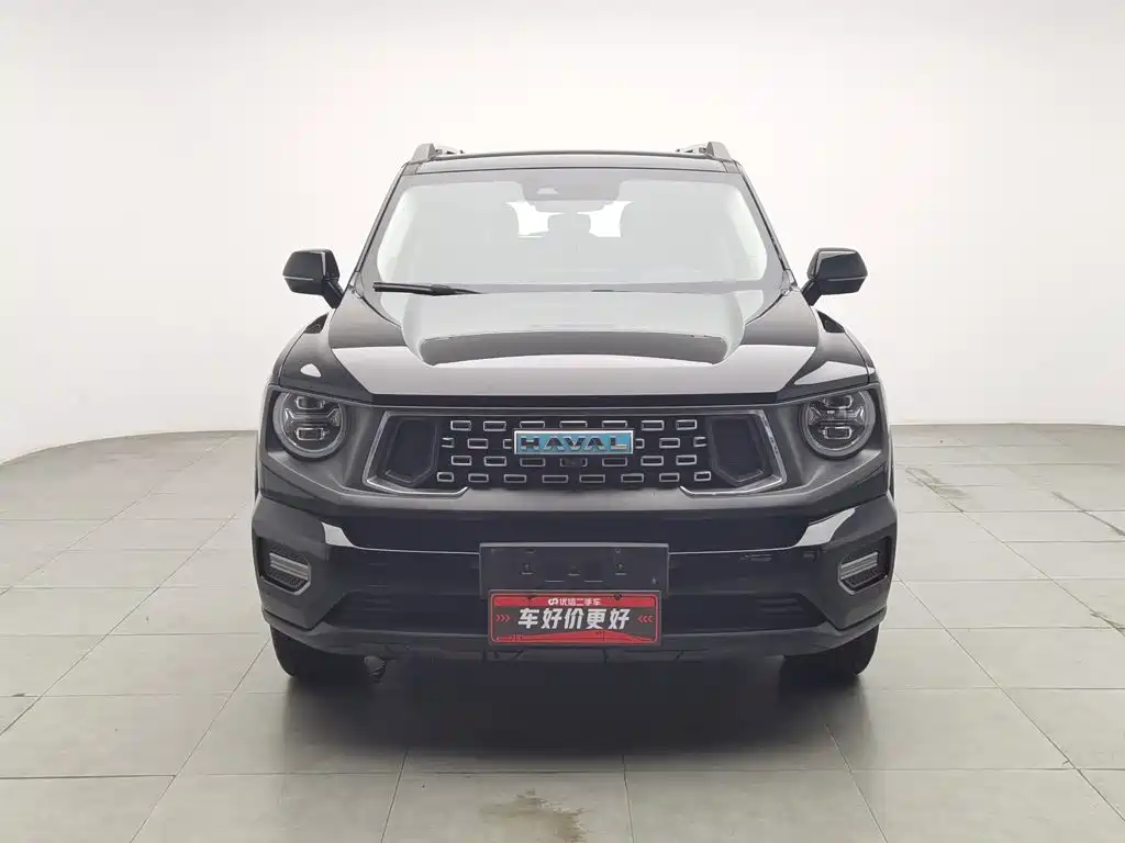 Haval Big Dog PLUS New Energy — миниатюра 3