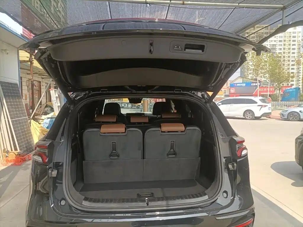 BYD Tang New Energy — миниатюра 19