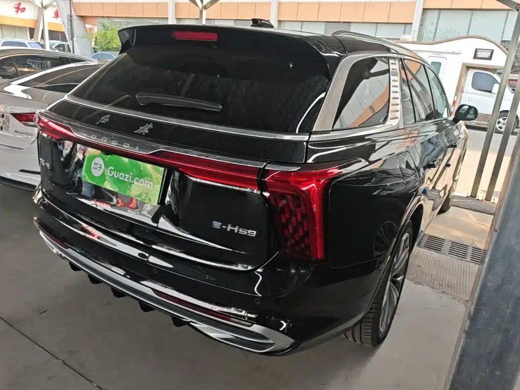 Hongqi Hongqi E-HS9 — миниатюра 7