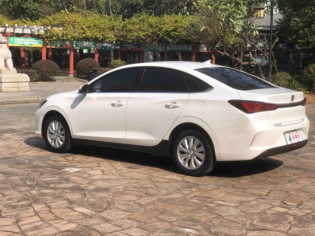 CHANGAN YIDONG NEW ENERGY