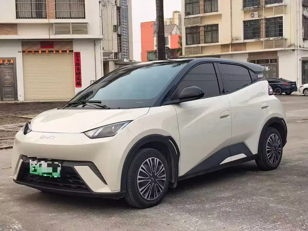 Byd Seagull 2025