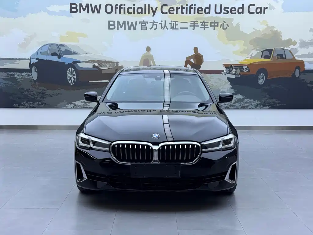 BMW 5 Series New Energy — миниатюра 2