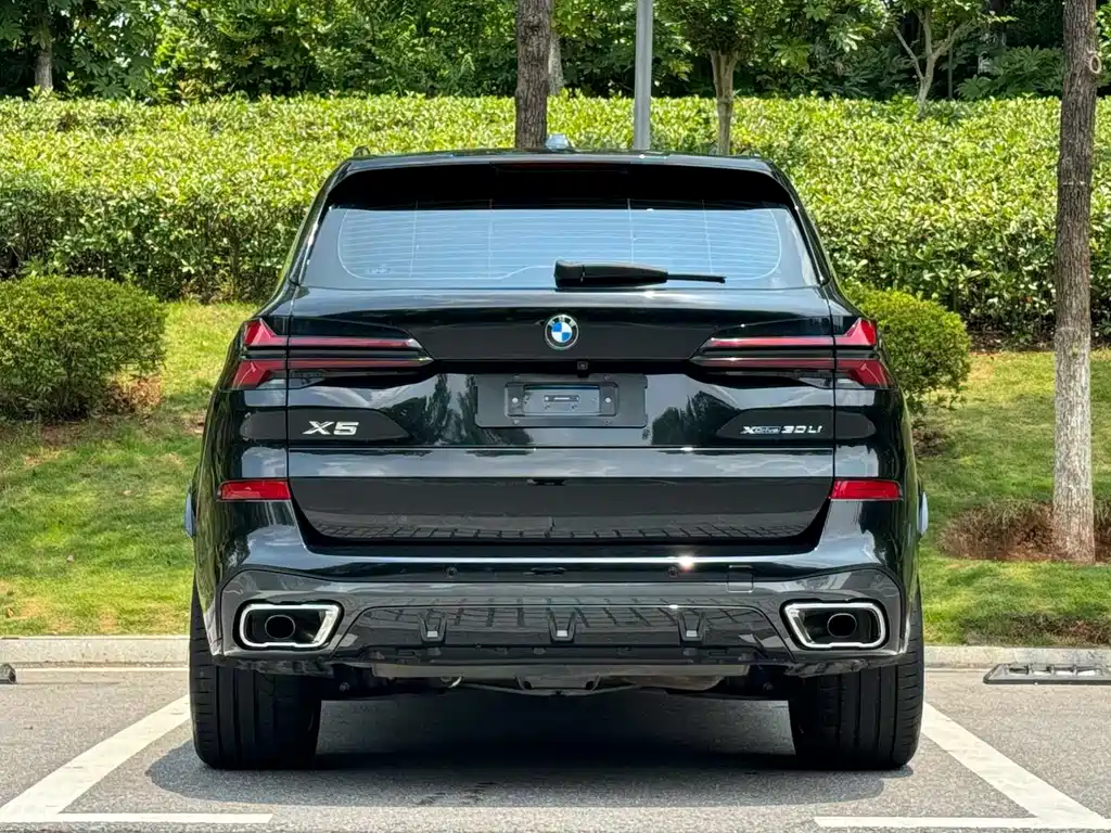BMW X5 — миниатюра 8