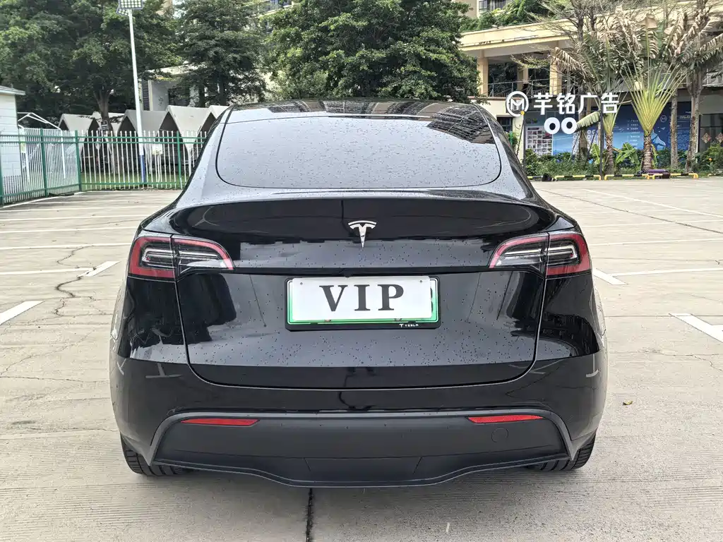 Tesla Model Y — миниатюра 6