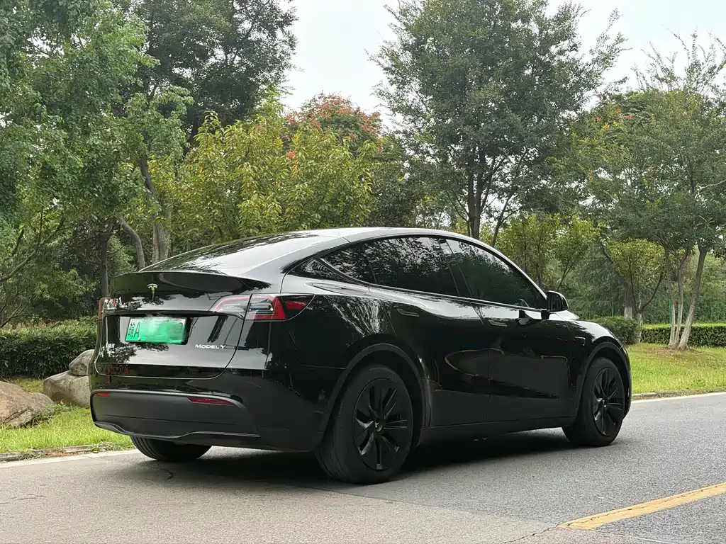 Tesla Model Y — миниатюра 3