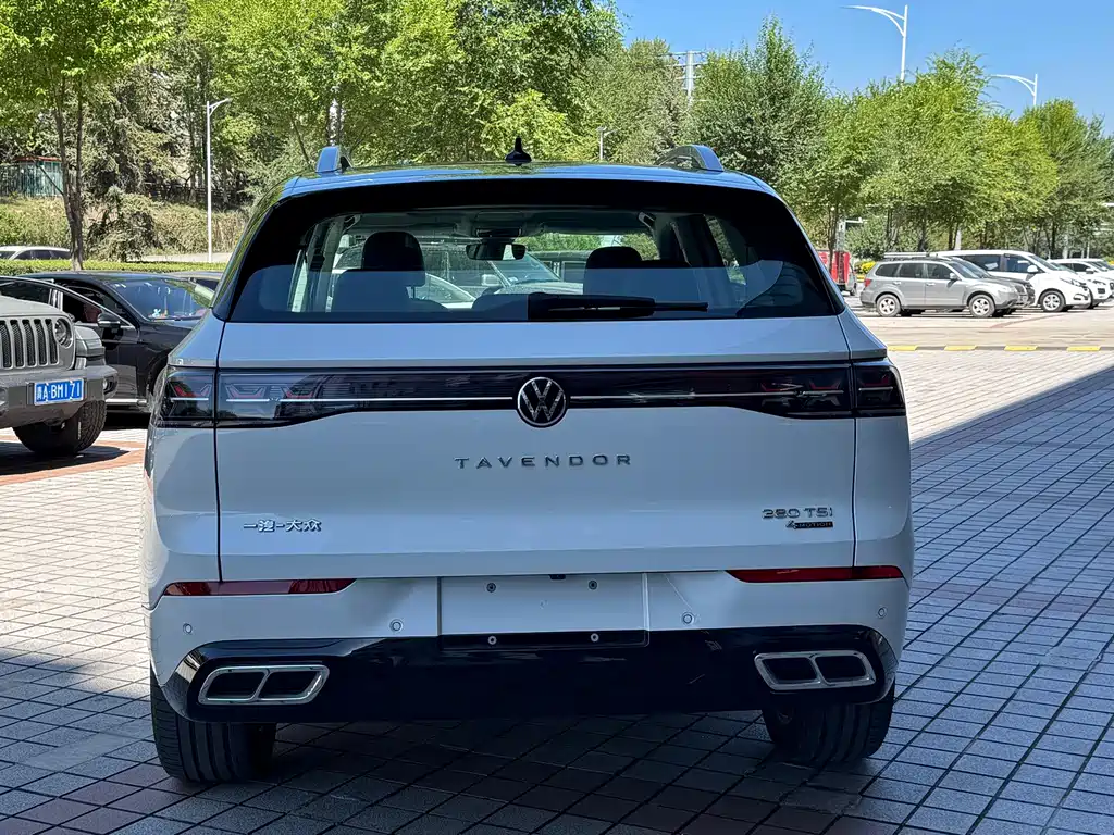 Volkswagen Tavendor — миниатюра 16