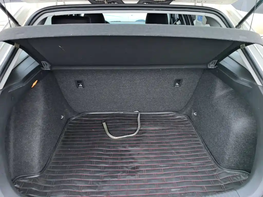 Volkswagen Gran Lavida — миниатюра 19