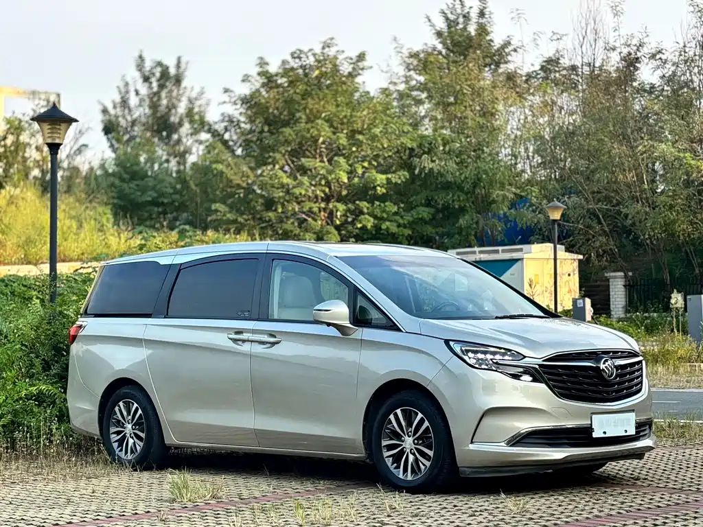 Buick GL8 — миниатюра 3