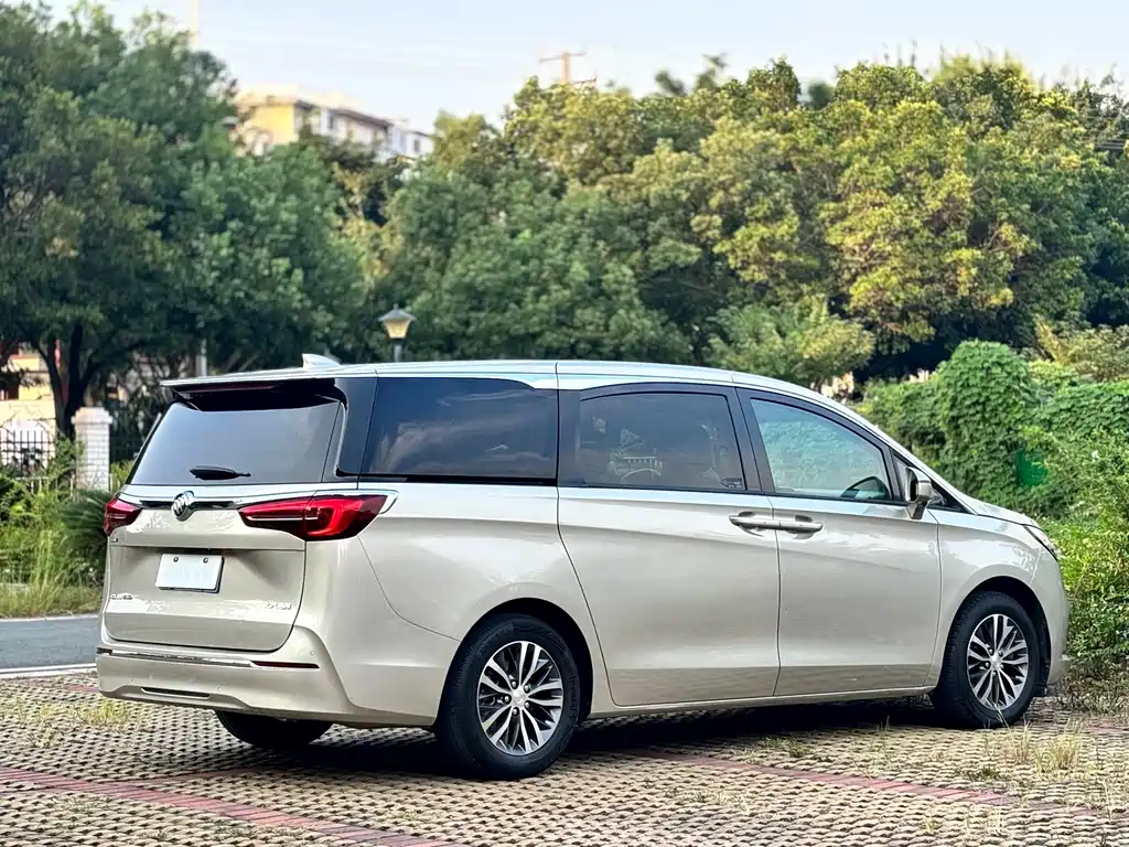 Buick GL8 — миниатюра 5