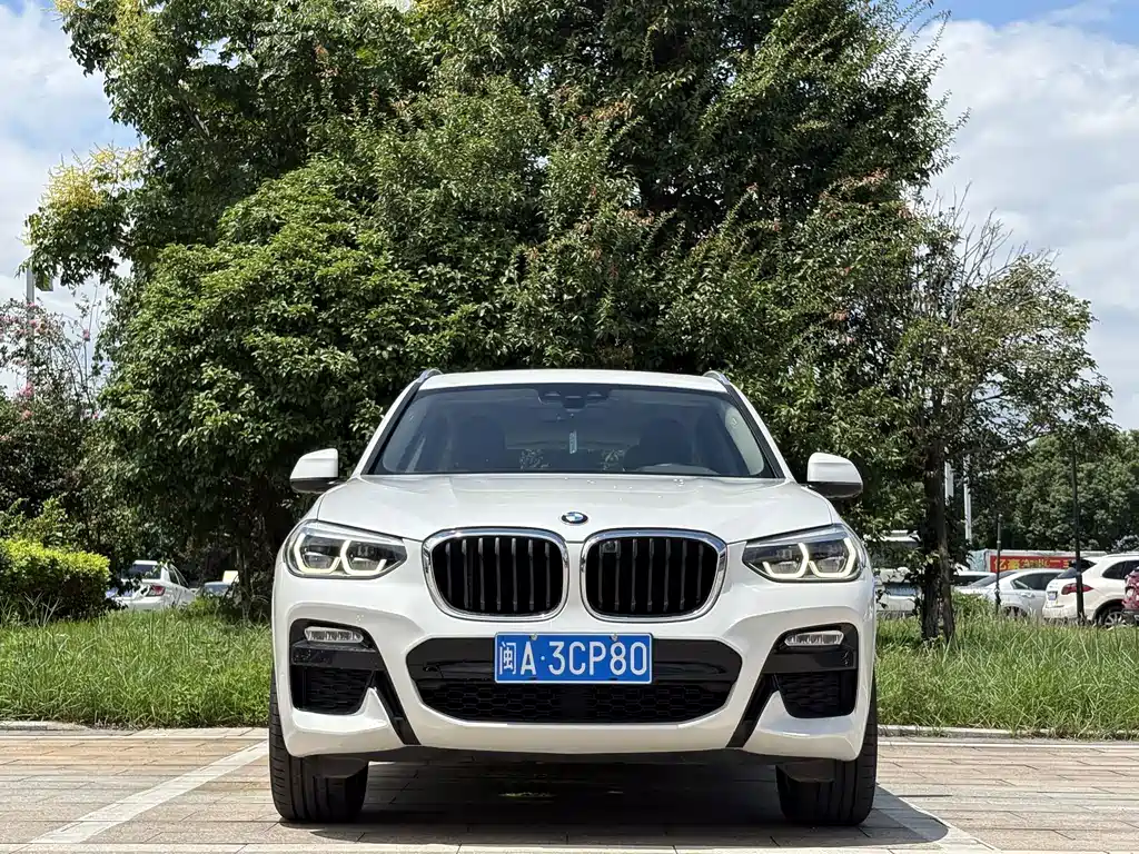 BMW X3 — миниатюра 2