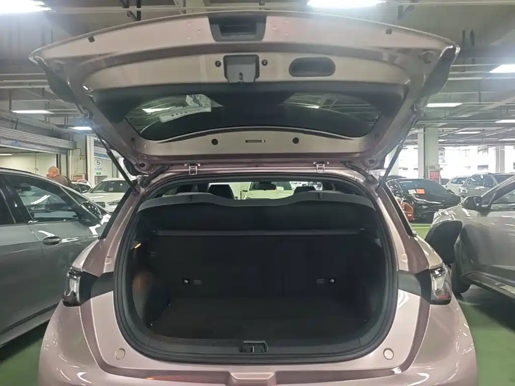 BYD Dolphin — миниатюра 19