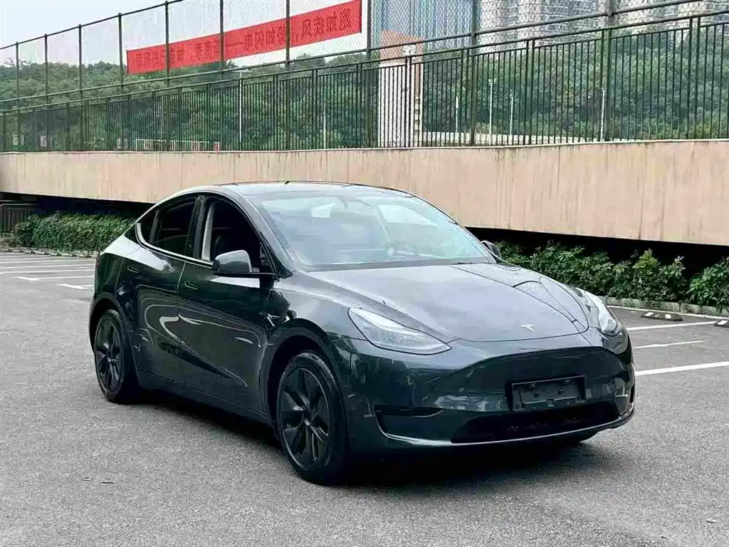 Tesla Model Y — миниатюра 3
