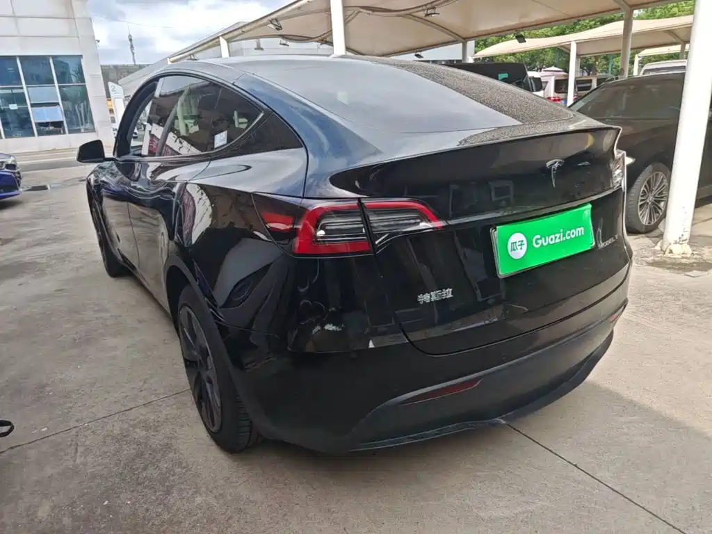 Tesla Model Y — миниатюра 5