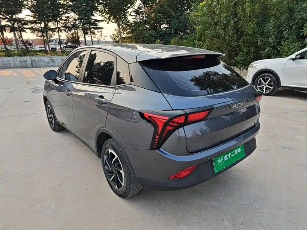 Neta Neta V — миниатюра 5