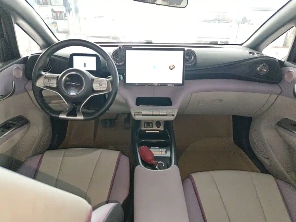 BYD Dolphin — миниатюра 10