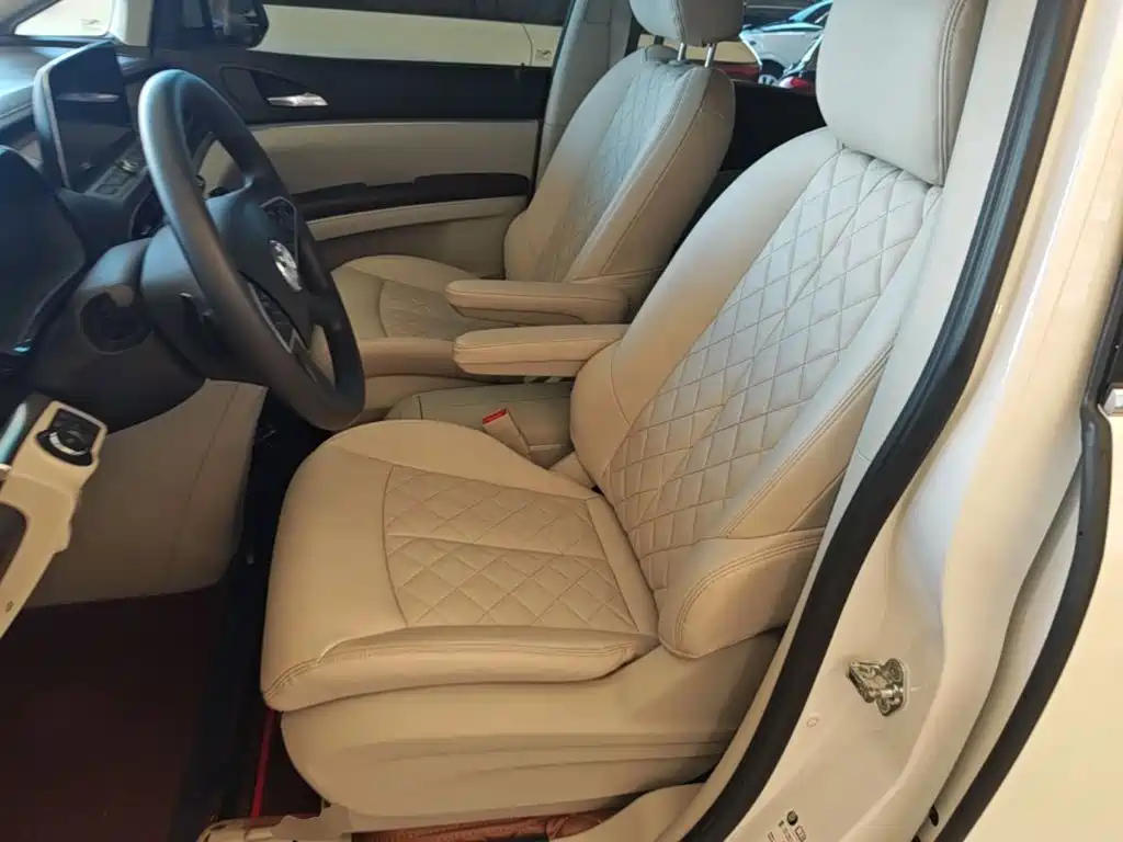 Buick GL8 — миниатюра 15