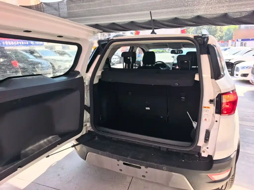 Ford Ecosport — миниатюра 19
