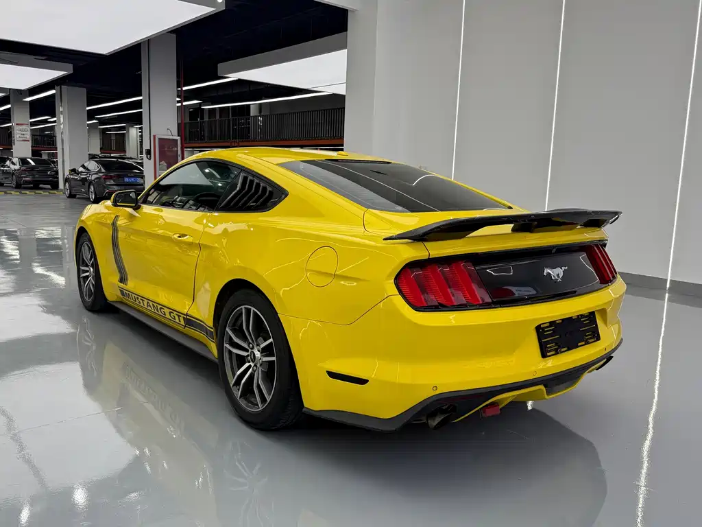 Ford Mustang — миниатюра 12