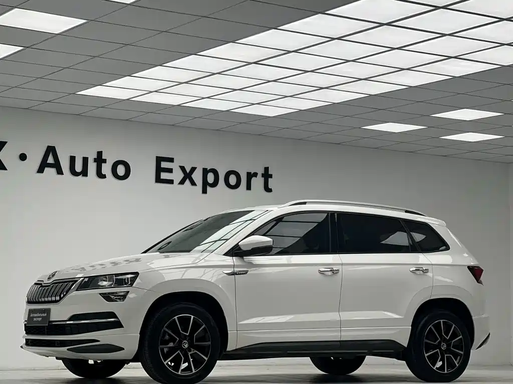 Skoda Karoq — миниатюра 6