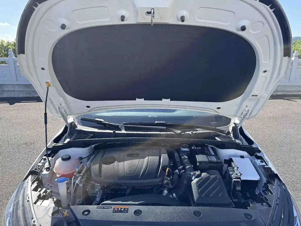 Geely Emgrand — миниатюра 19