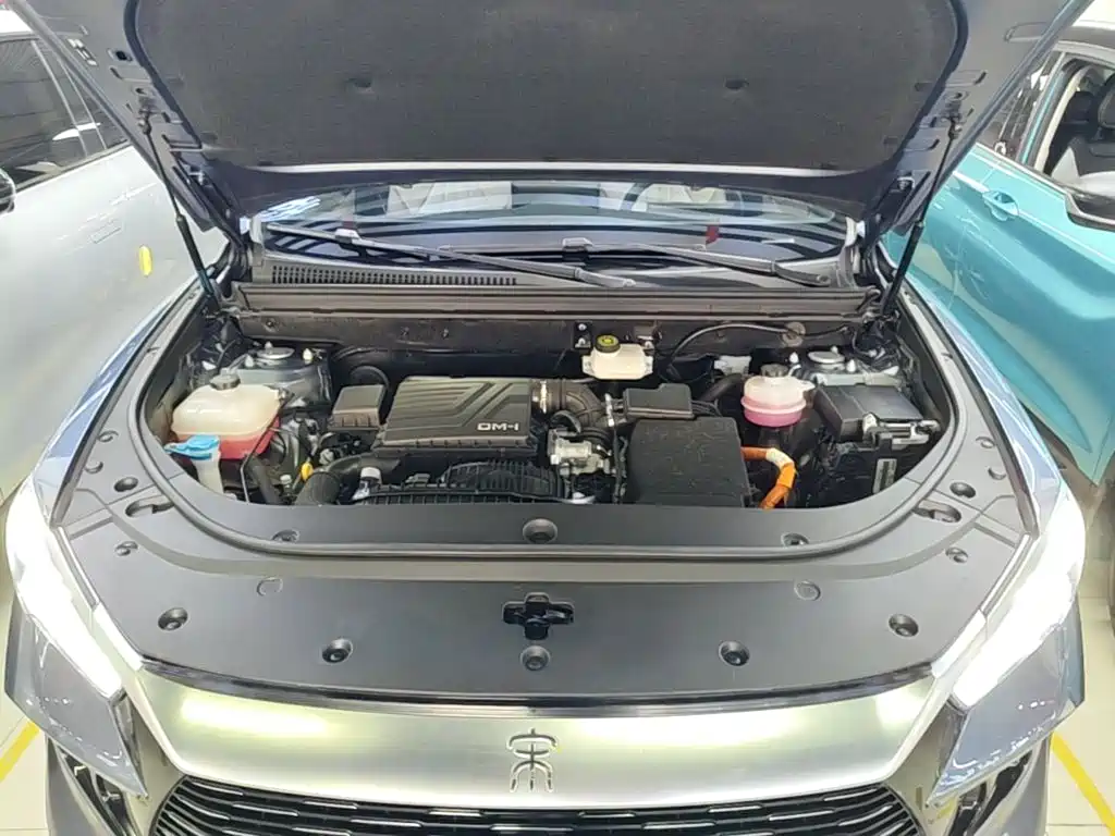 BYD Pro New Energy — миниатюра 20