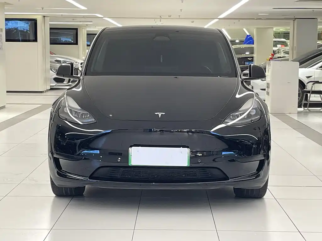 Tesla Model Y — миниатюра 2