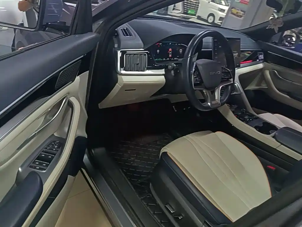 BYD PLUS New Energy — миниатюра 16