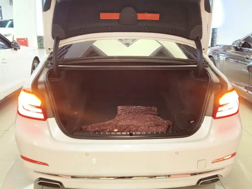 BMW 5 Series — миниатюра 19