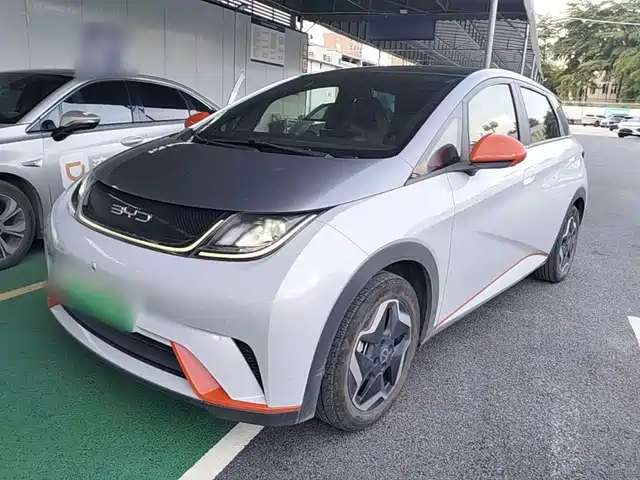2021 BYD Dolphin