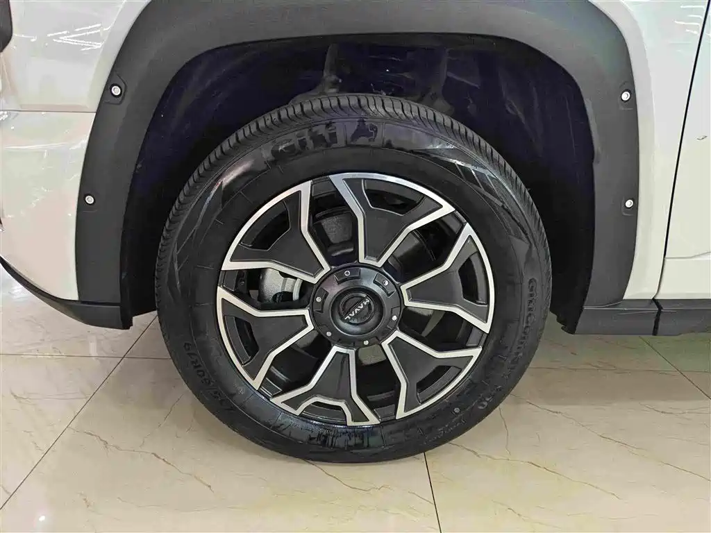 Haval Big Dog PLUS New Energy — миниатюра 14