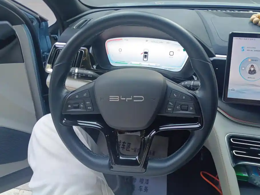 BYD PLUS New Energy — миниатюра 15