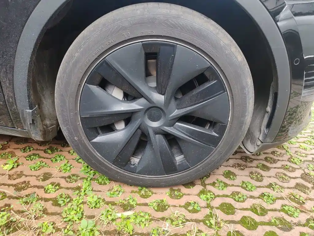 Tesla Model Y — миниатюра 24