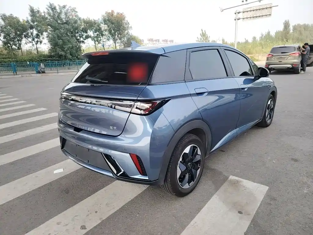 BYD Dolphin — миниатюра 7