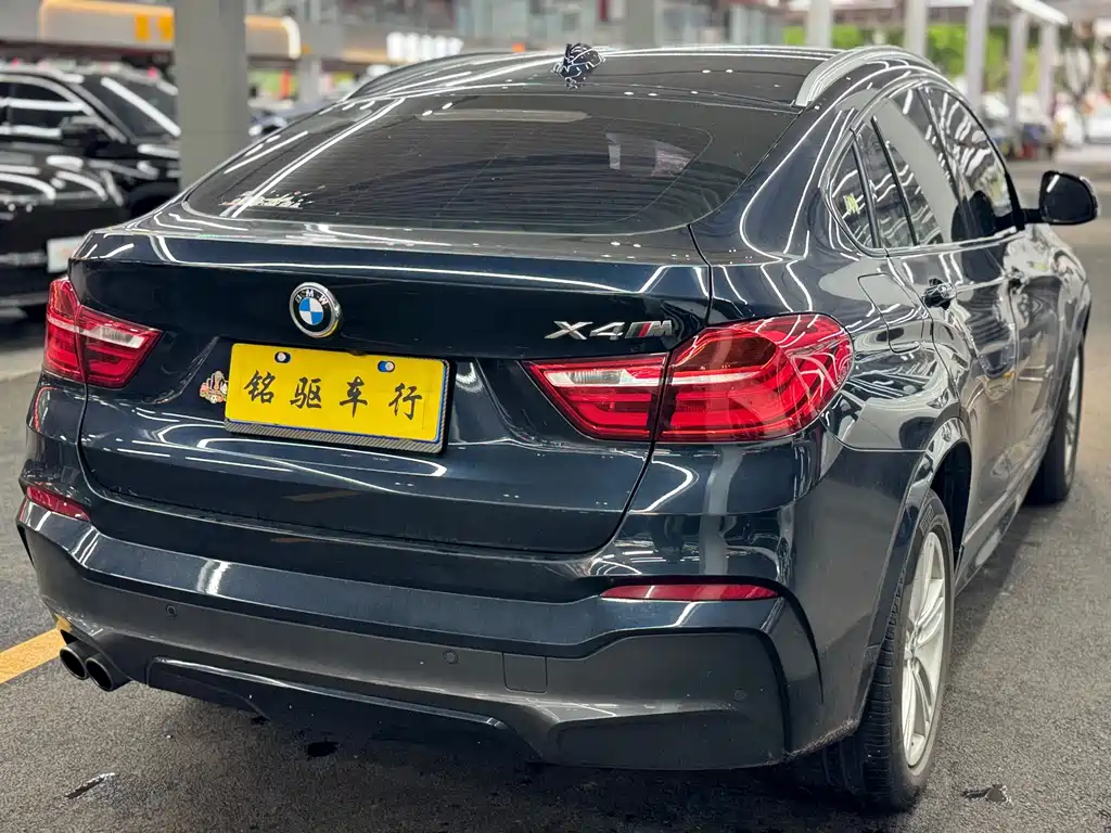 BMW X4 — миниатюра 7