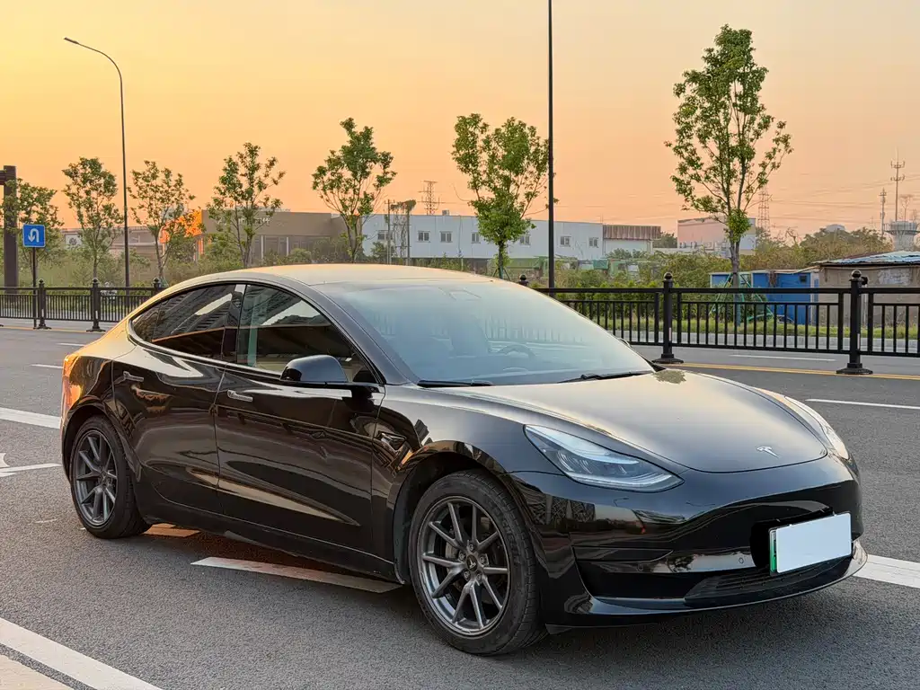 Tesla Model 3 — миниатюра 3
