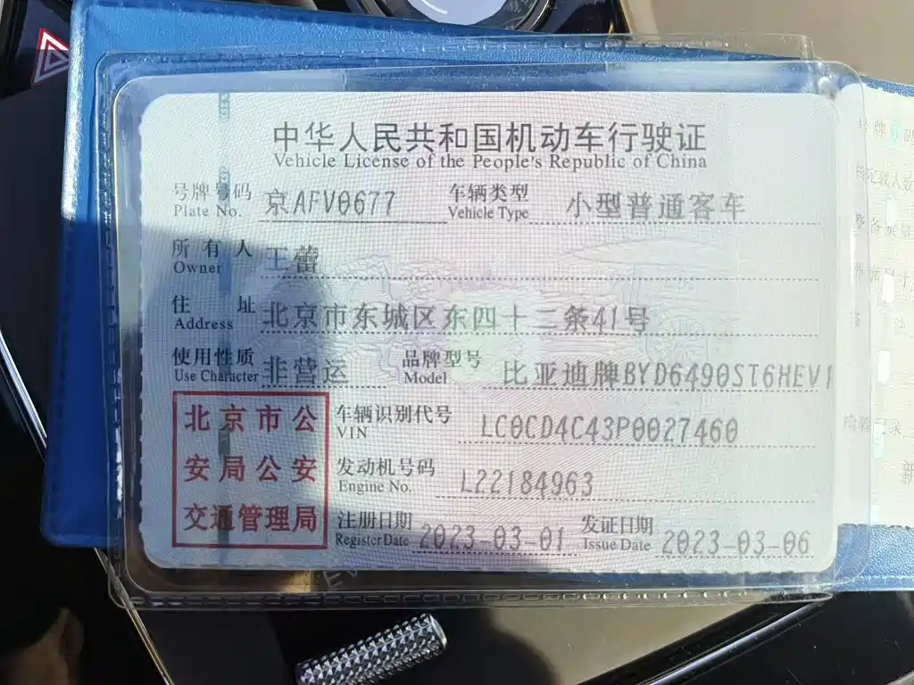 BYD Tang New Energy — миниатюра 23