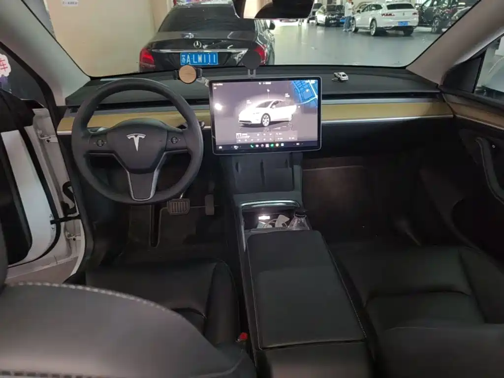 Tesla Model Y — миниатюра 10