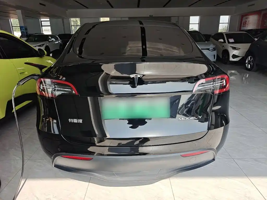 Tesla Model Y — миниатюра 6