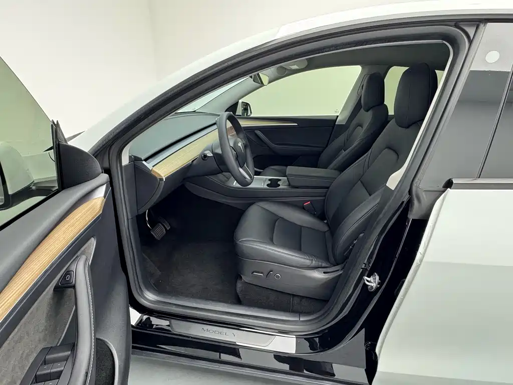 Tesla Model Y — миниатюра 9