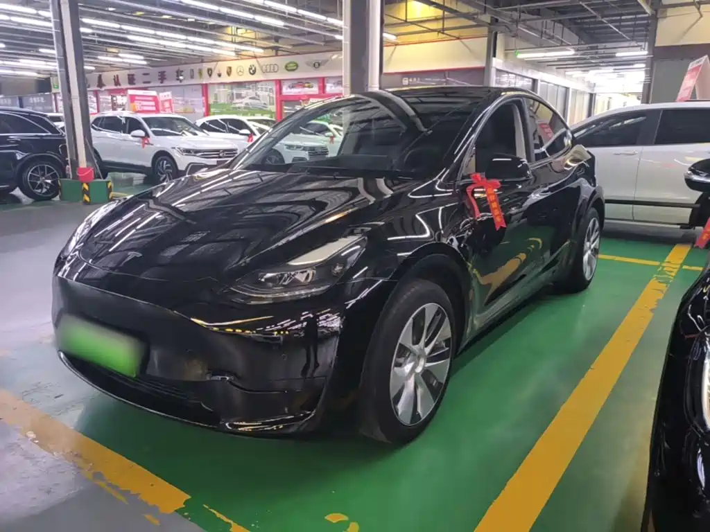 Tesla Model Y — миниатюра 2