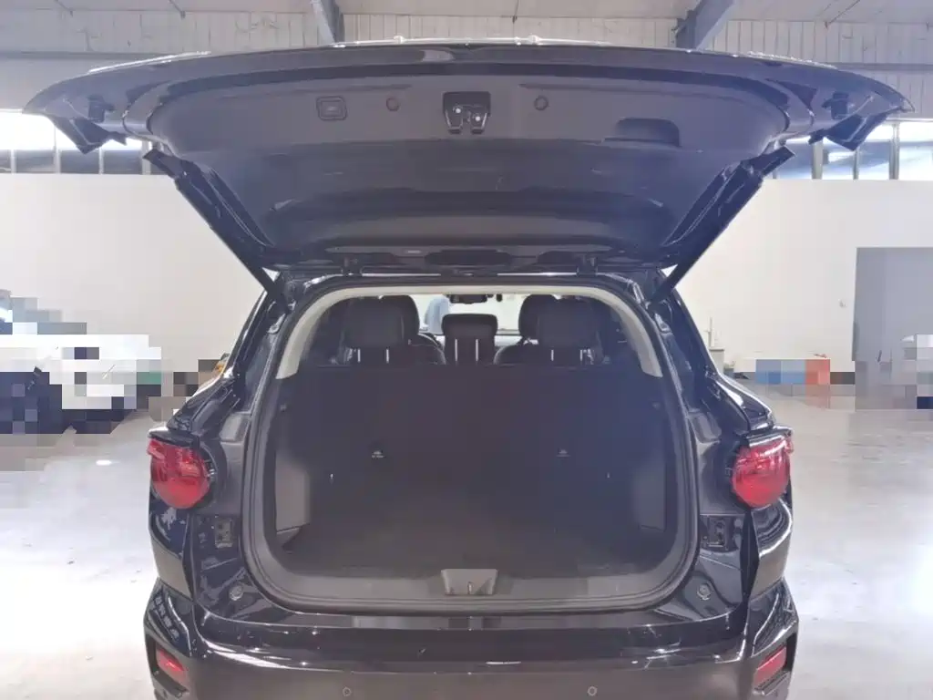 Haval Big Dog PLUS — миниатюра 19