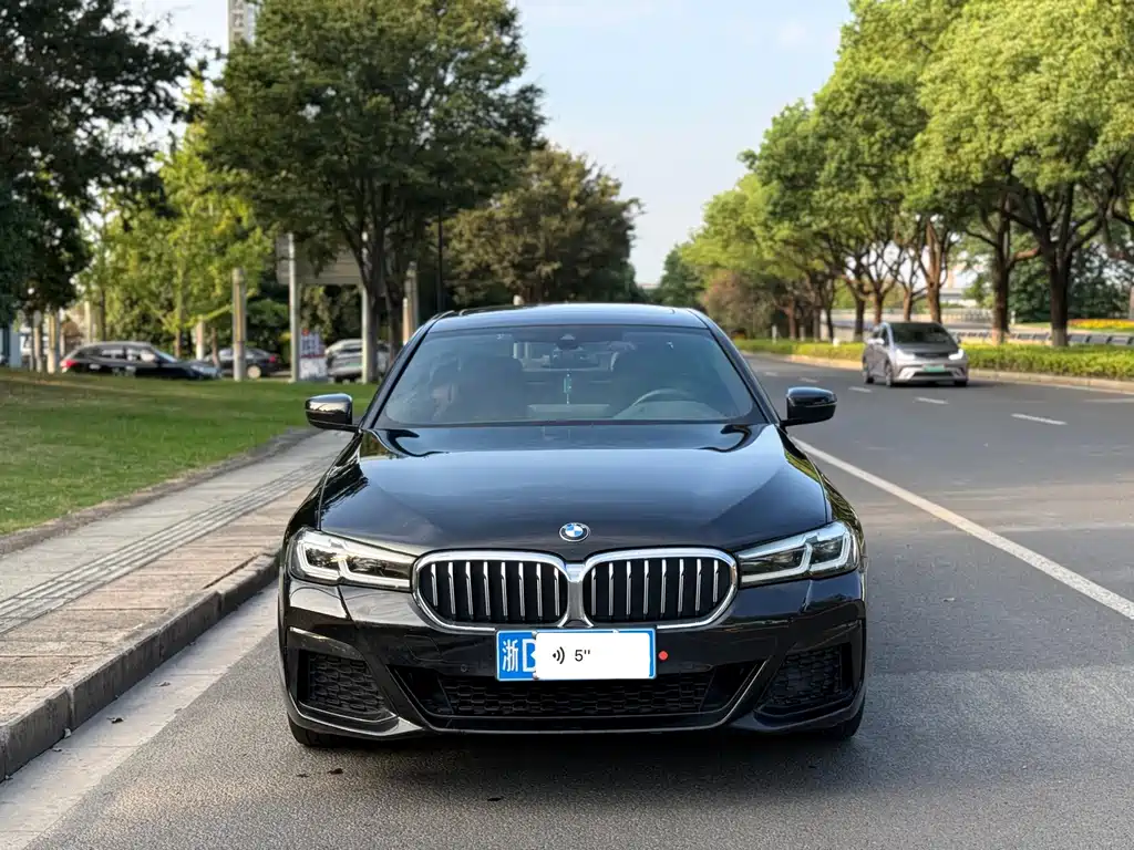 BMW 5 Series — миниатюра 3