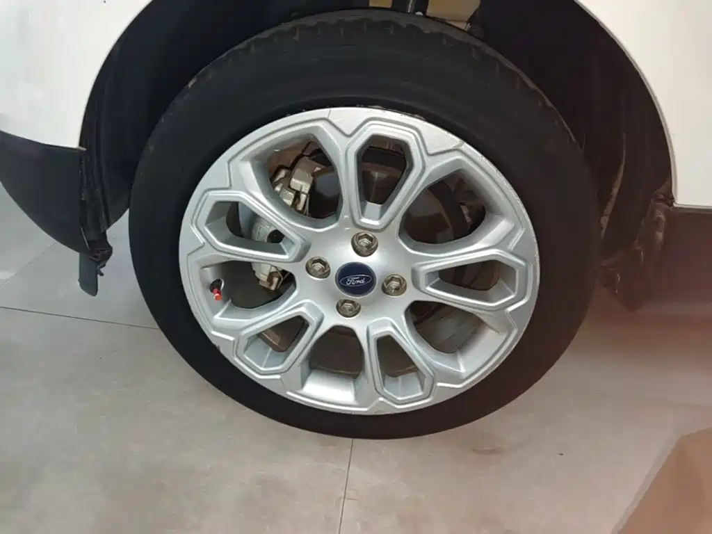 Ford Ecosport — миниатюра 23
