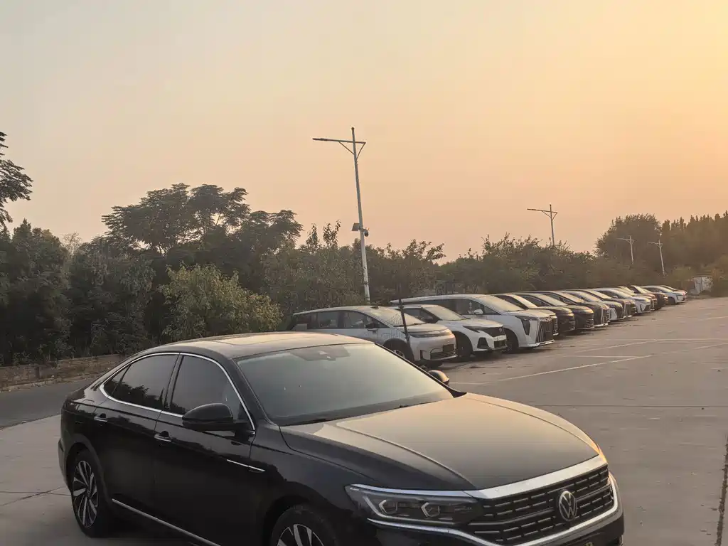 Volkswagen Passat — миниатюра 3