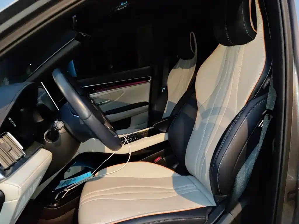 BYD PLUS New Energy — миниатюра 17