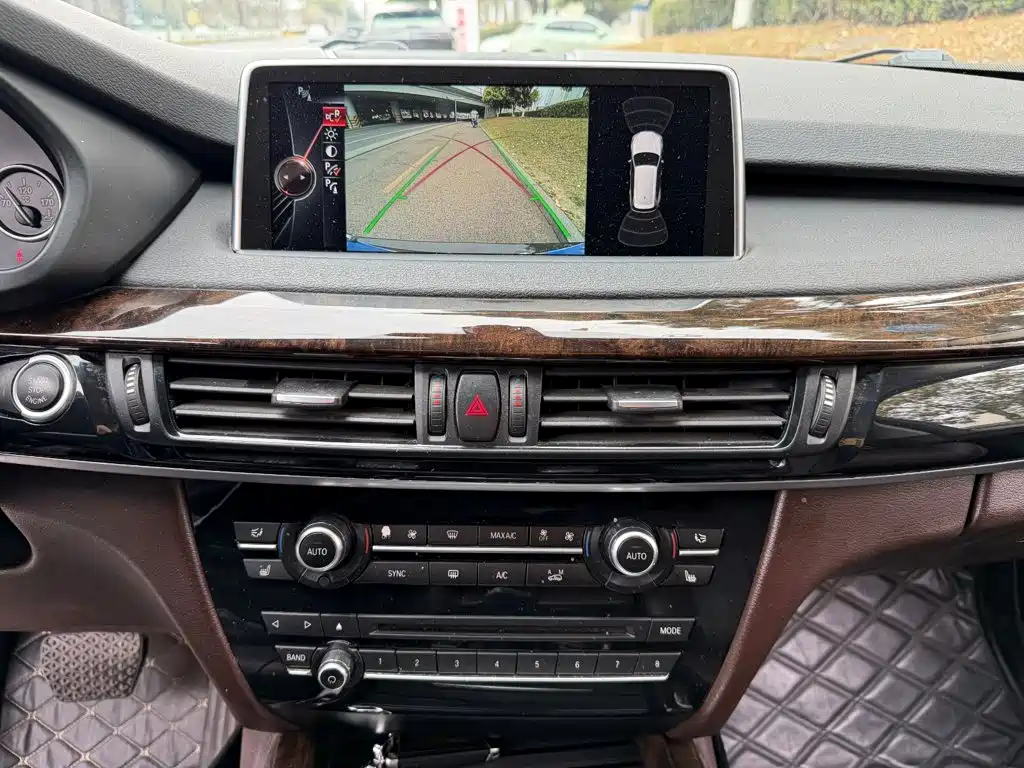 BMW X5 (Import) — миниатюра 10