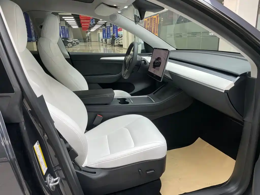 Tesla Model Y — миниатюра 15