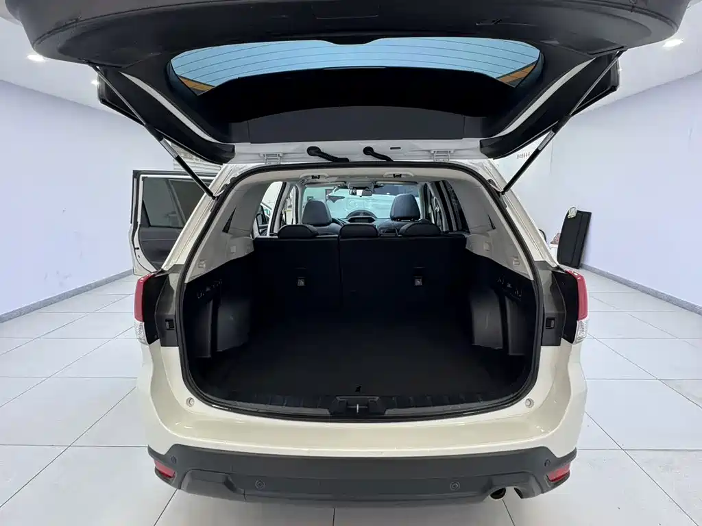 Subaru Forester — миниатюра 11