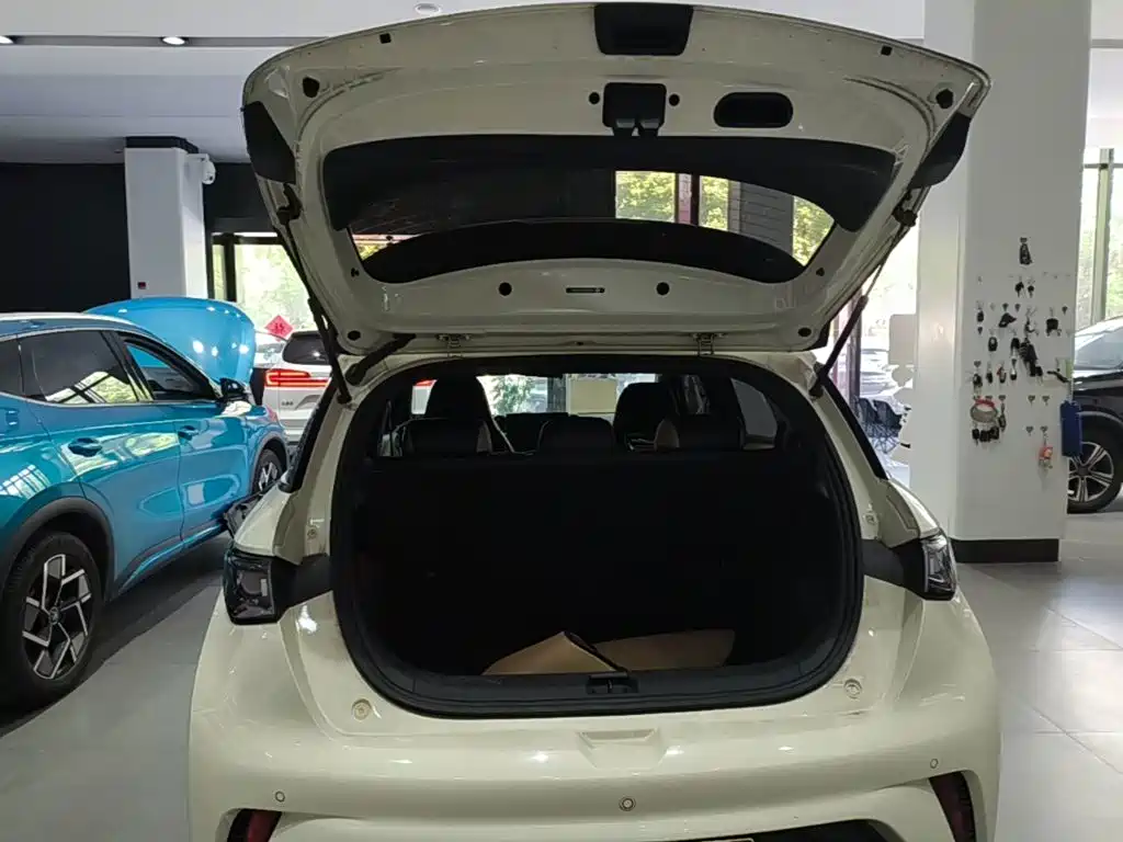 BYD Dolphin — миниатюра 19