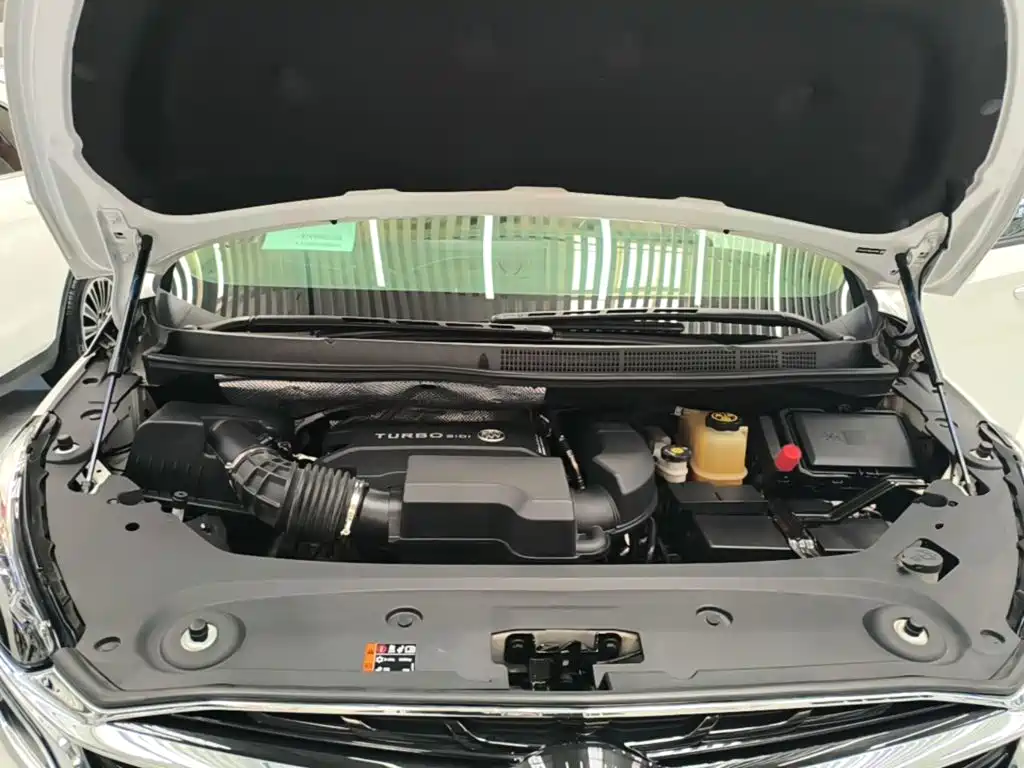 Buick GL8 — миниатюра 20